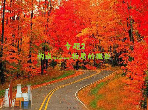 中考化学专题复习 专题2 构成物质的微粒课件