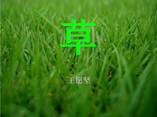 《草》PPT课件(自制)7