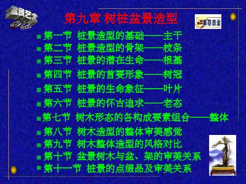 《树桩盆景造型》PPT课件