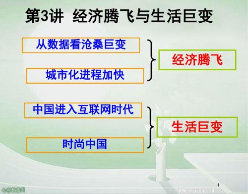 2013高考历史一轮复习课件-近现代社会生活的变迁.