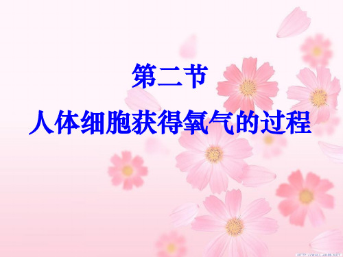 人体细胞获得氧气的过程优秀完整ppt课件