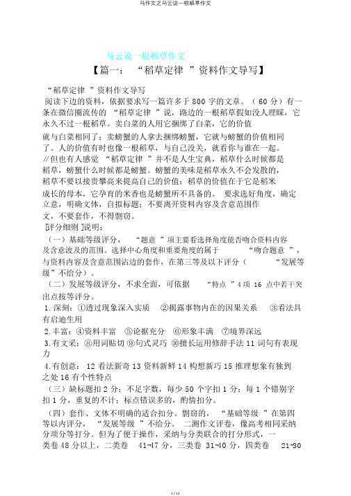 马作文之马云说一根稻草作文