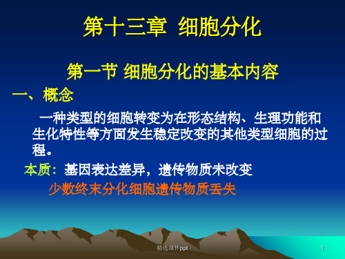 《细胞分化、干细胞》PPT课件