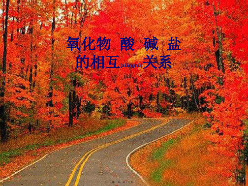 九年级化学《单质、氧化物、酸、碱、盐相互之间的重要反应》