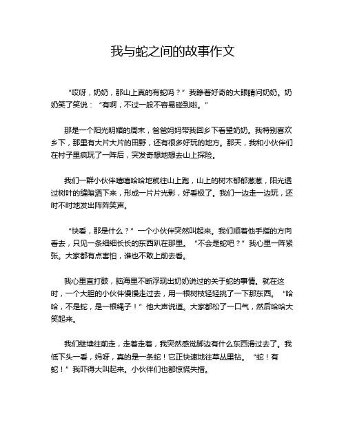 我与蛇之间的故事作文