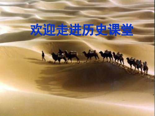七年级历史上册第三单元秦汉时期：统一多民族国家的建立和巩固第14课沟通中外文明的“丝绸之路”课件新人教