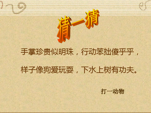面塑动物-