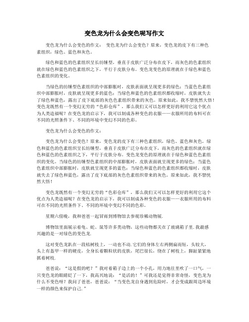 变色龙为什么会变色呢写作文