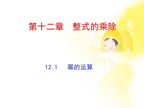 12·1第2课时幂的运算-幂的乘方