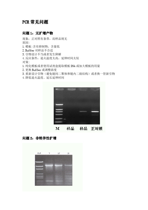 PCR常见问题及解决方案