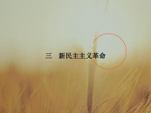 2017届高一历史人民版必修一课件：3-3新民主主义革命 