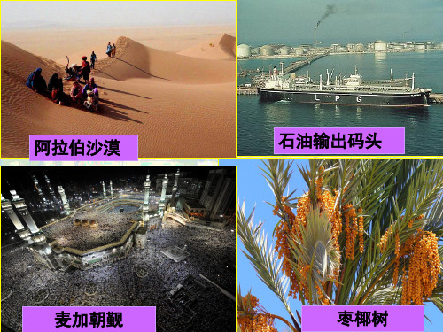 【湘教版】七年级下册第七章了解地区第三节《西亚》 (2)