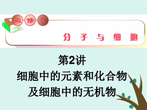 高三生物必修1复习课件第2讲 细胞中的元素和化合物及细胞中的无机物