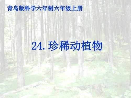 青岛版小学科学六年级上册《珍稀动植物》PPT课件