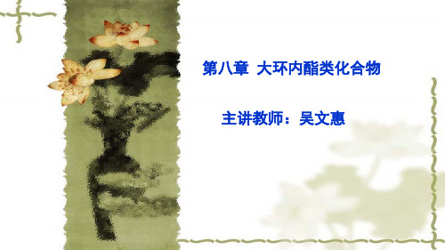 大环内酯类化合物
