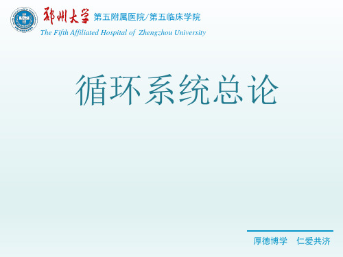 循环系统总论-精品医学课件