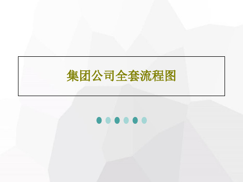 集团公司全套流程图共159页