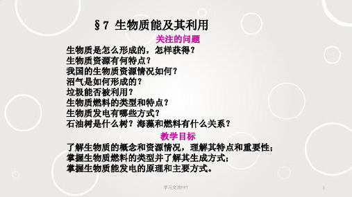 新能源与分布式发电技术课件