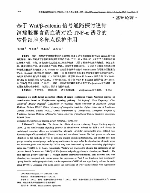 基于Wnt／β-catenin信号通路探讨透骨消痛胶囊含药血清对经TNF-α诱导