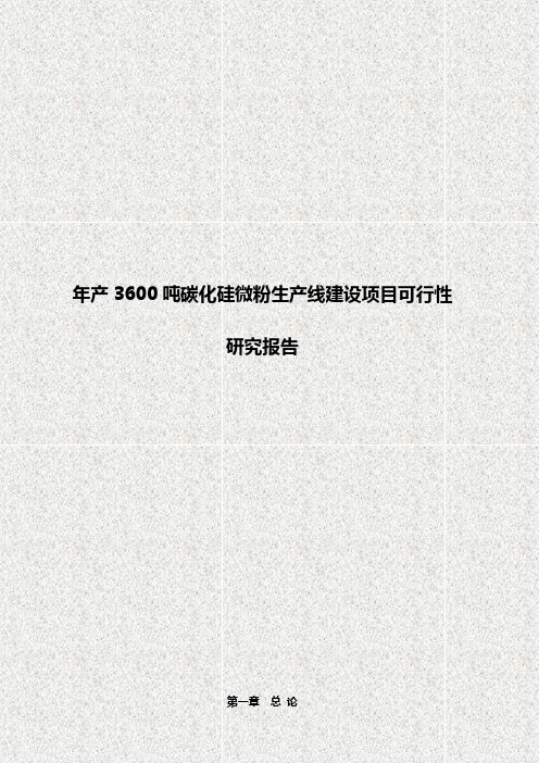 年产3600吨碳化硅微粉生产线建设项目可行性研究报告