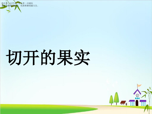 二年级下册美术课件-7《切开的果实》 岭南版 (共12张PPT)
