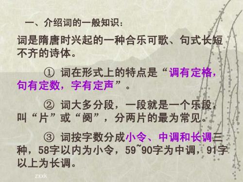 《虞美人》ppt课件(24页)