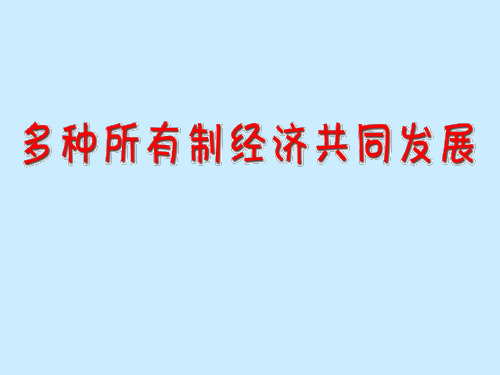 思想品德：第十课《走共同富裕之路》课件(苏教版九年级)