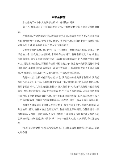 回想金桔树_初中作文