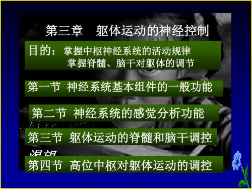 运动生理学_03躯体运动的神经控制.详解