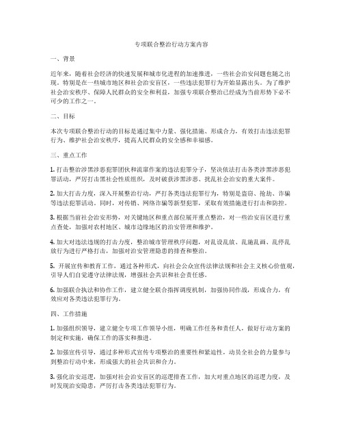 专项联合整治行动方案内容