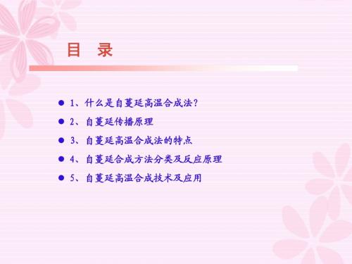 自蔓延高温合成技术