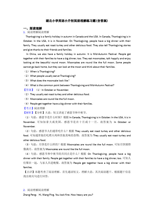 湖北小学英语小升初阅读理解练习题(含答案)