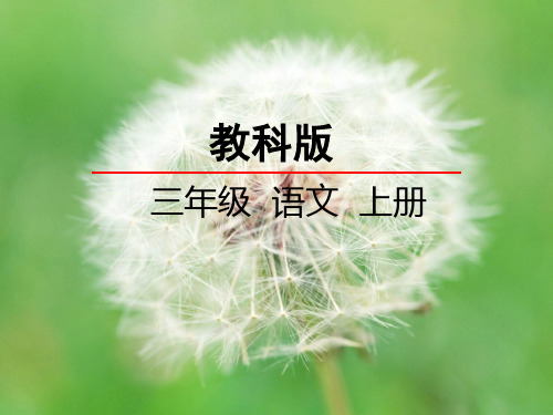 《母爱的力量》ppt课件