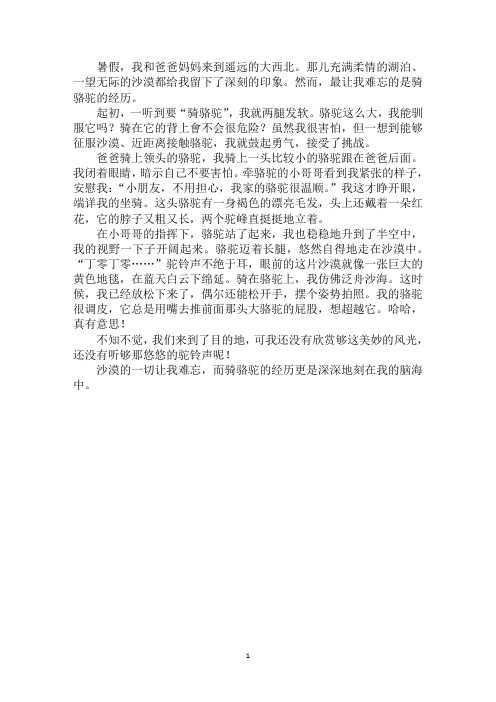 最新第一次骑骆驼作文