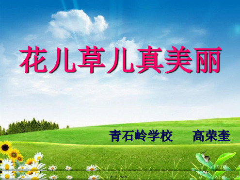 一年级下册道德与法治教学课件《花儿草儿真美丽》人教部编版PPT2