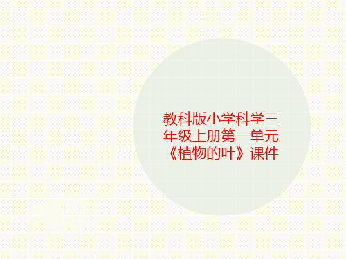 教科版小学科学三年级上册第一单元《植物的叶》课件-PPT文档资料