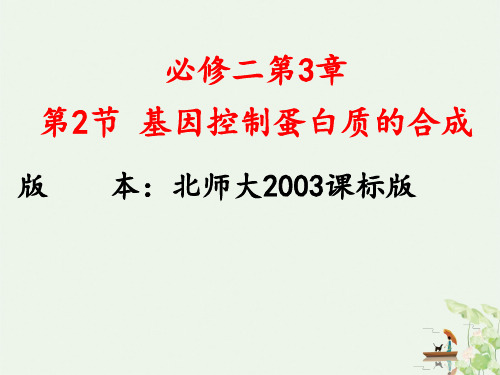 北师大高中生物必修 基因控制蛋白质的合成