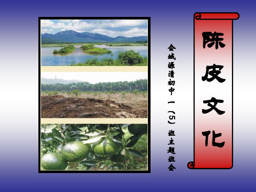 陈皮文化
