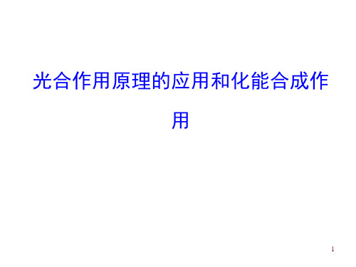 光合作用原理的应用和化能合成作用  课件