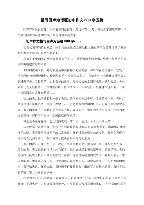 描写回声为话题初中作文800字五篇