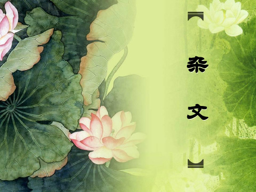杂文简介及其特点