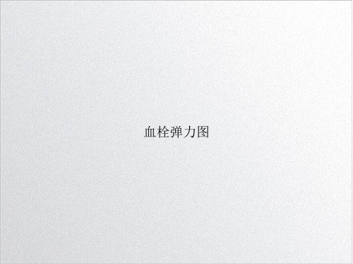 血栓弹力图PPT培训课件