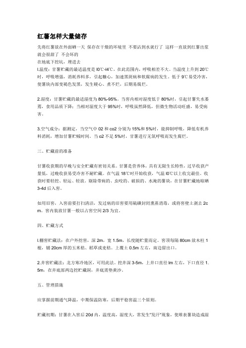 红薯怎样大量储存