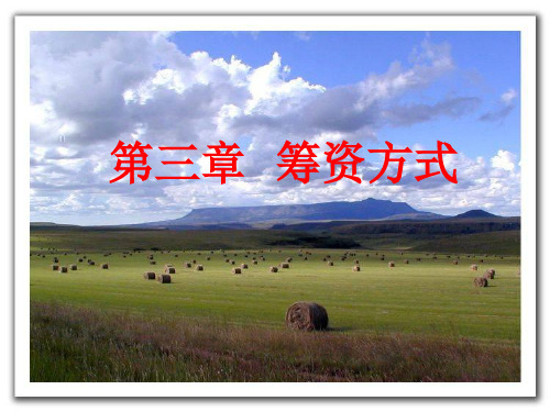 第3章筹资方式
