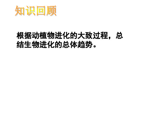 第三节生物进化的原因课件