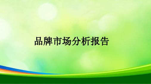 品牌市场分析报告(ppt 29页)