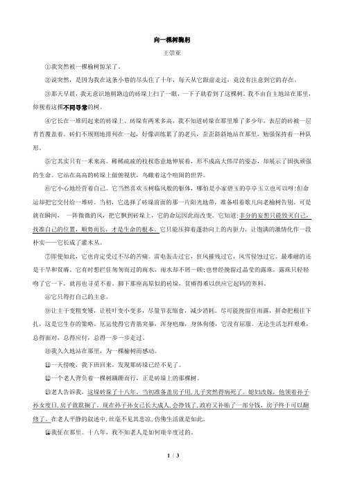 《向一棵树鞠躬》阅读答案