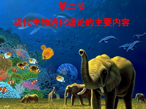 7.2现代生物进化理论的主要内容
