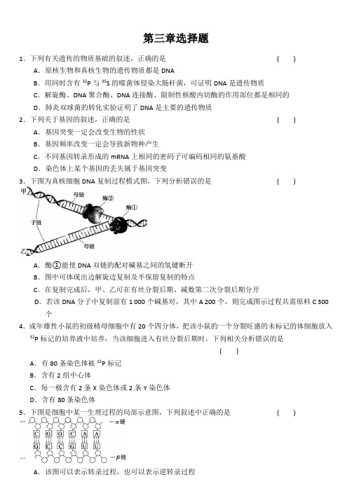 高中生物必修2第三章练习题