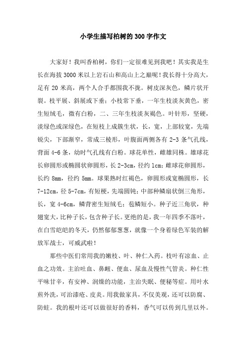 小学生描写柏树的300字作文